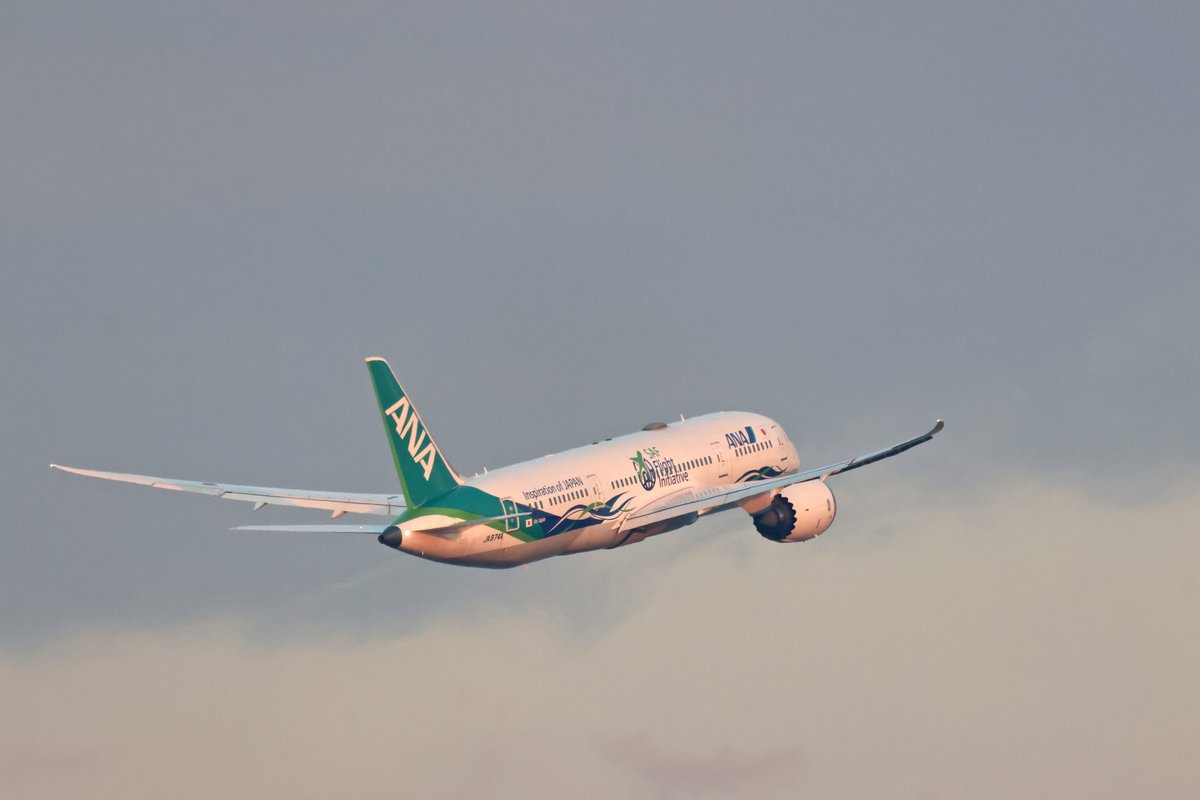 今朝もANAのボーイング787がセントレアで飛行訓練を行っています。今日は緑色が新鮮なANA Future Promise Jetでの訓練の様ですね。訓練頑張ってください!!