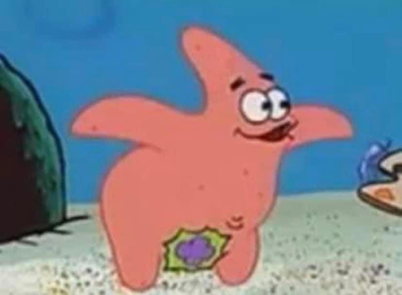 GerboXL's tweet image. 