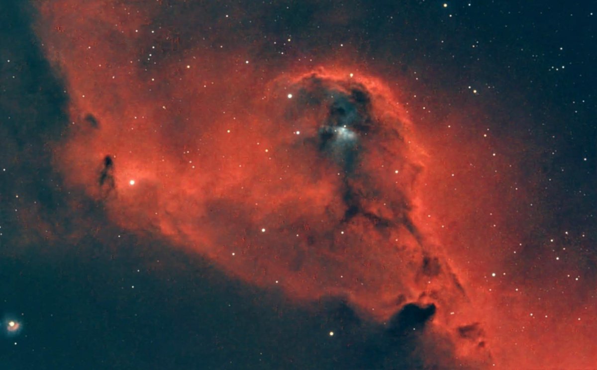 Darren Coleman tweet media