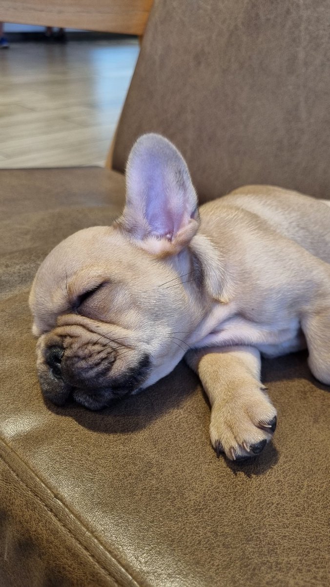 Sos perfecta amor😍🩷