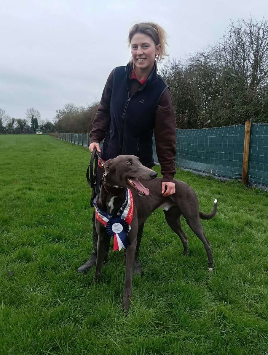 Congratulations to Loxleys Star who is our Seasonal Star Q4 He has received  this award due to winning 6 of his 9 races for the quarter. Owned by Robin  Hood Racing Trained