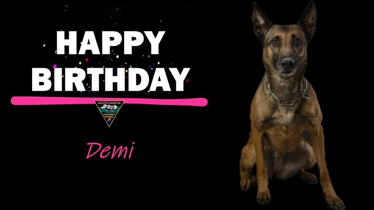 SDHighwayPatrol's tweet photo. Please join us in celebrating another January birthday!
Happy 8th Birthday PSD Demi!!!
Happy Birthday to you… 🎶 🎵
🐾 🐾 🐾
#KeepSDSafe #DriveSafeSD #sdhppsdunit https://t.co/owYMiGlwp0