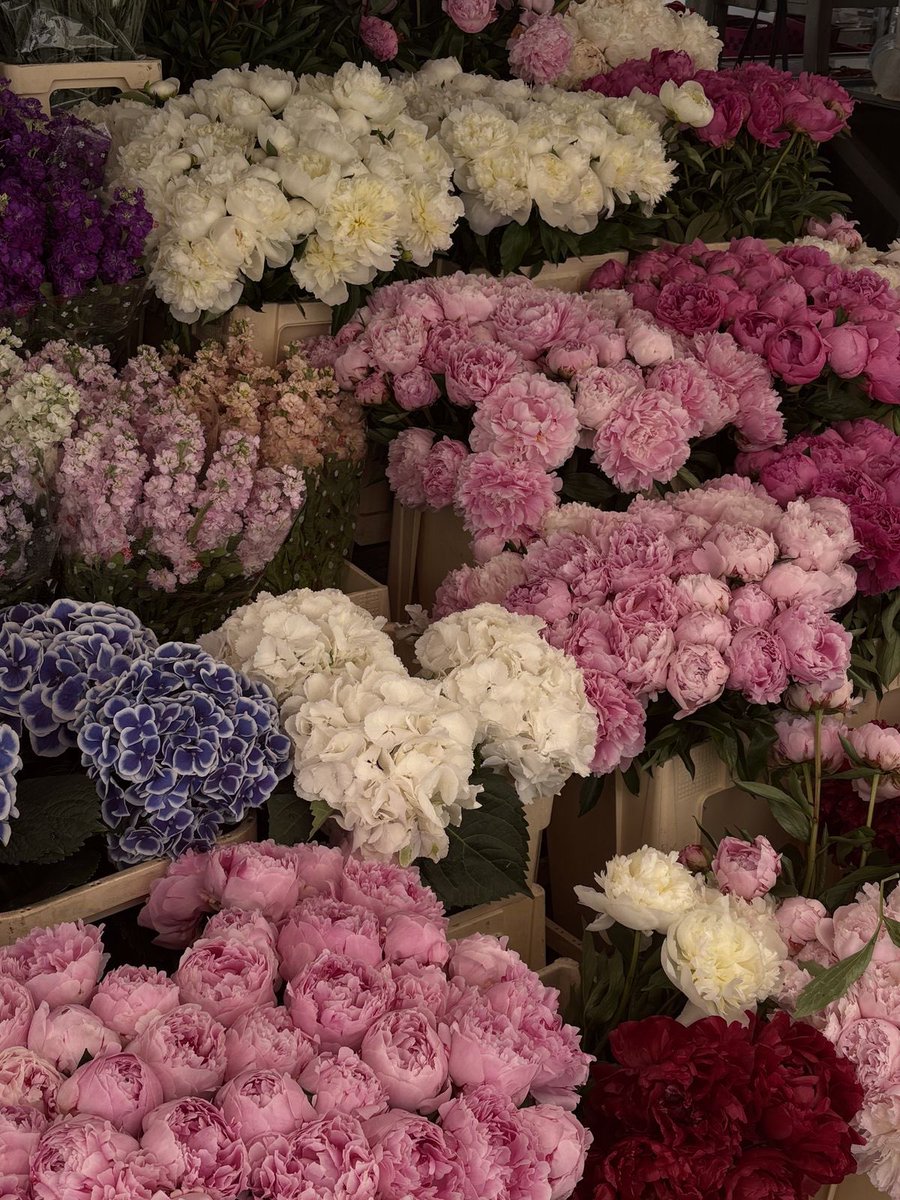 1leio's tweet image. 