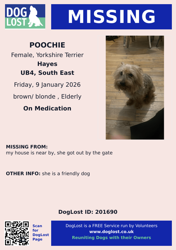 🐕 Please share- #missing POOCHIE is an elderly dog and has a bad leg
She escaped through the gate in the garden 9 January 2026 in Hayes #London #UB4
Poochie is on medication from the vet for her leg.
If you see her please contact asap!!