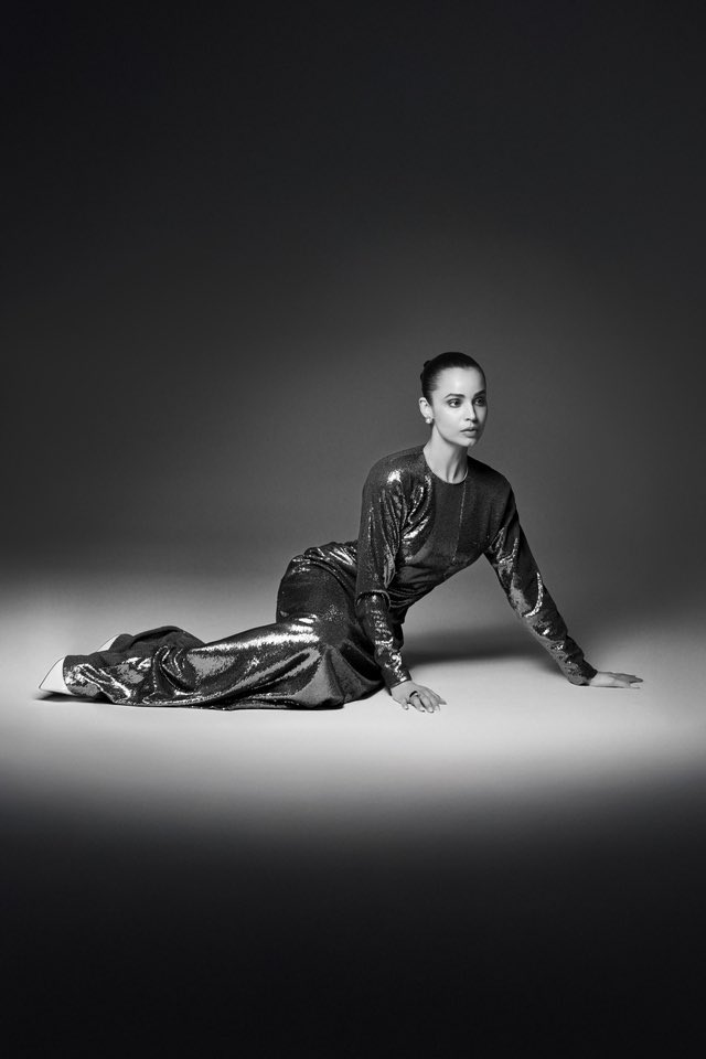 Updates Sofia tweet media