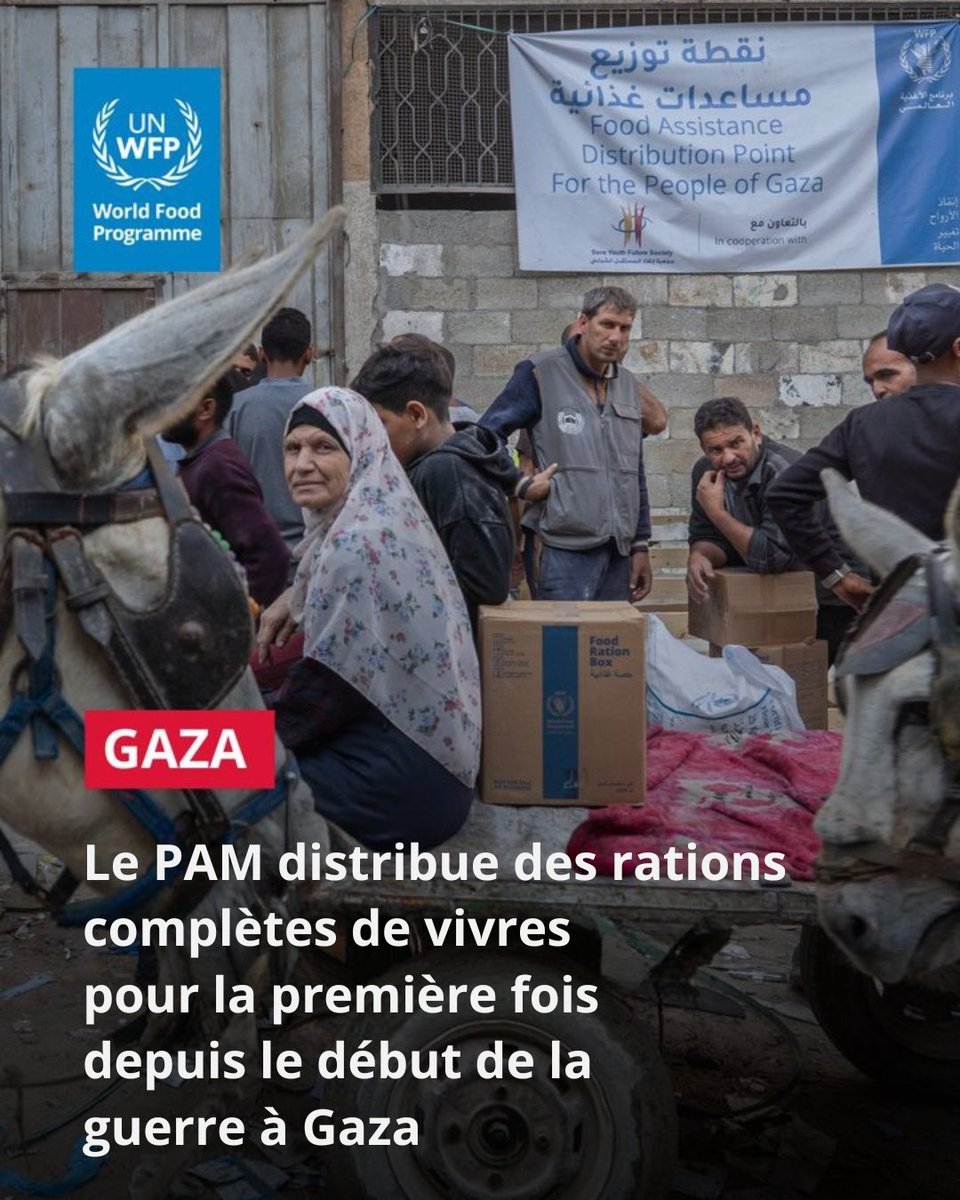 Nations Unies (ONU) tweet media