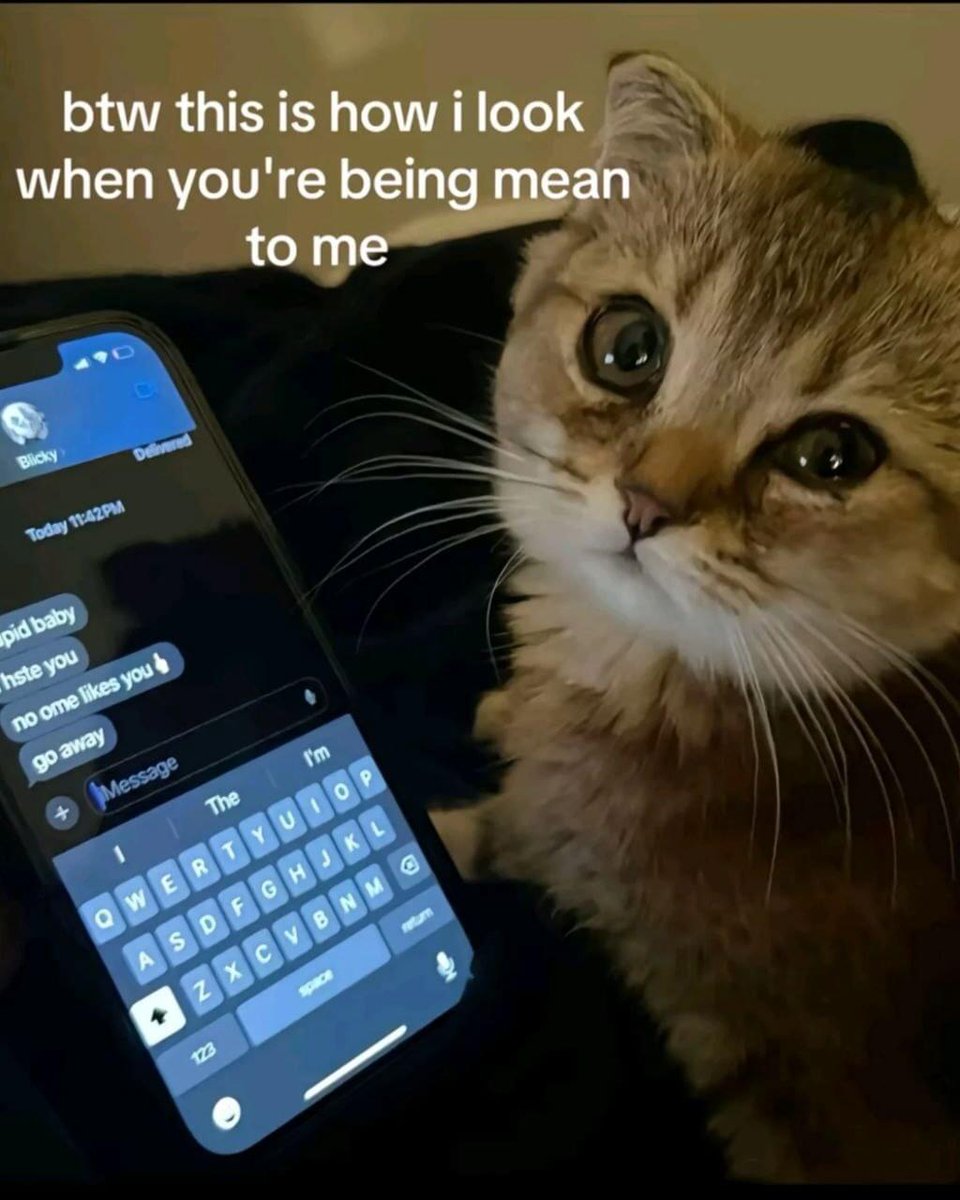 Catsillyness's tweet image. 