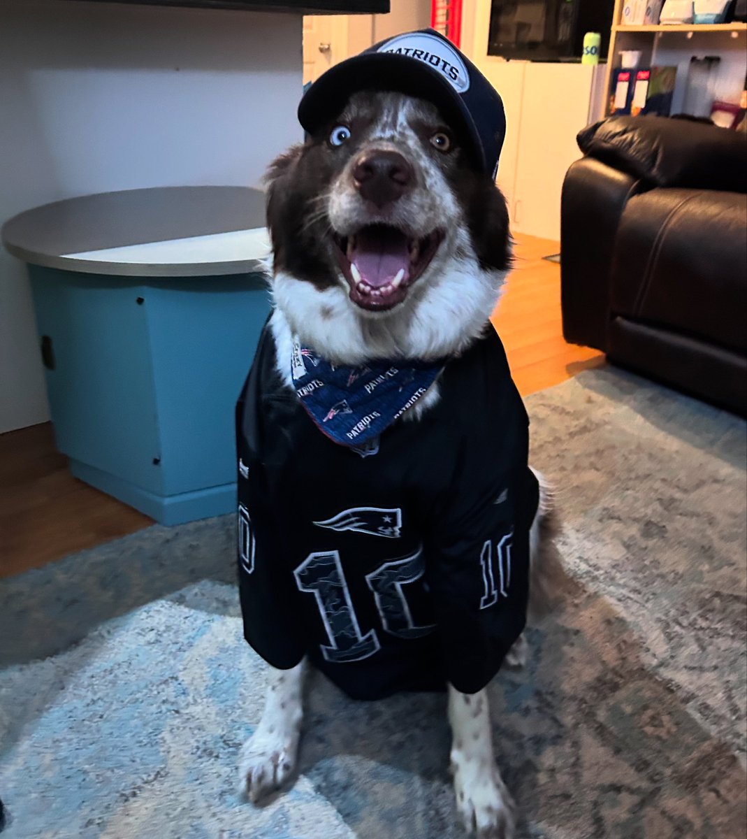 Yapybar's tweet image. Congratulations to Boston on seeing his first playoff win. The curse has been lifted and he is no longer a jinx. 

#PatsNation