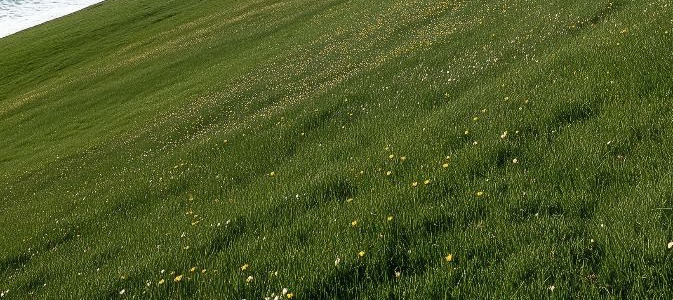 2025pics's tweet image. Tap the post