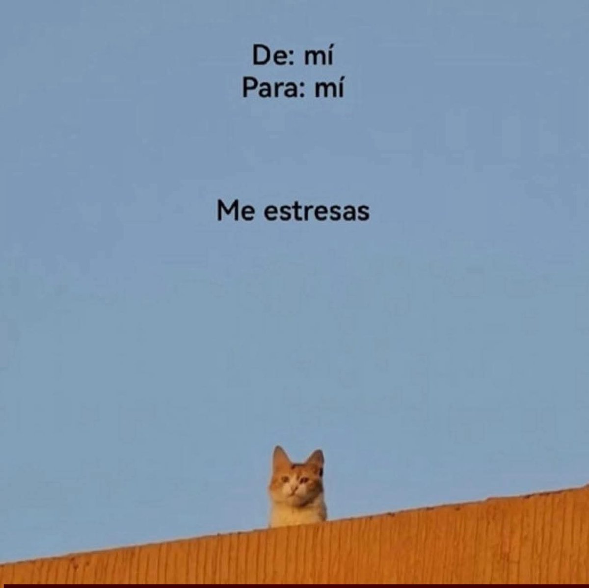 absurdamela's tweet image. 