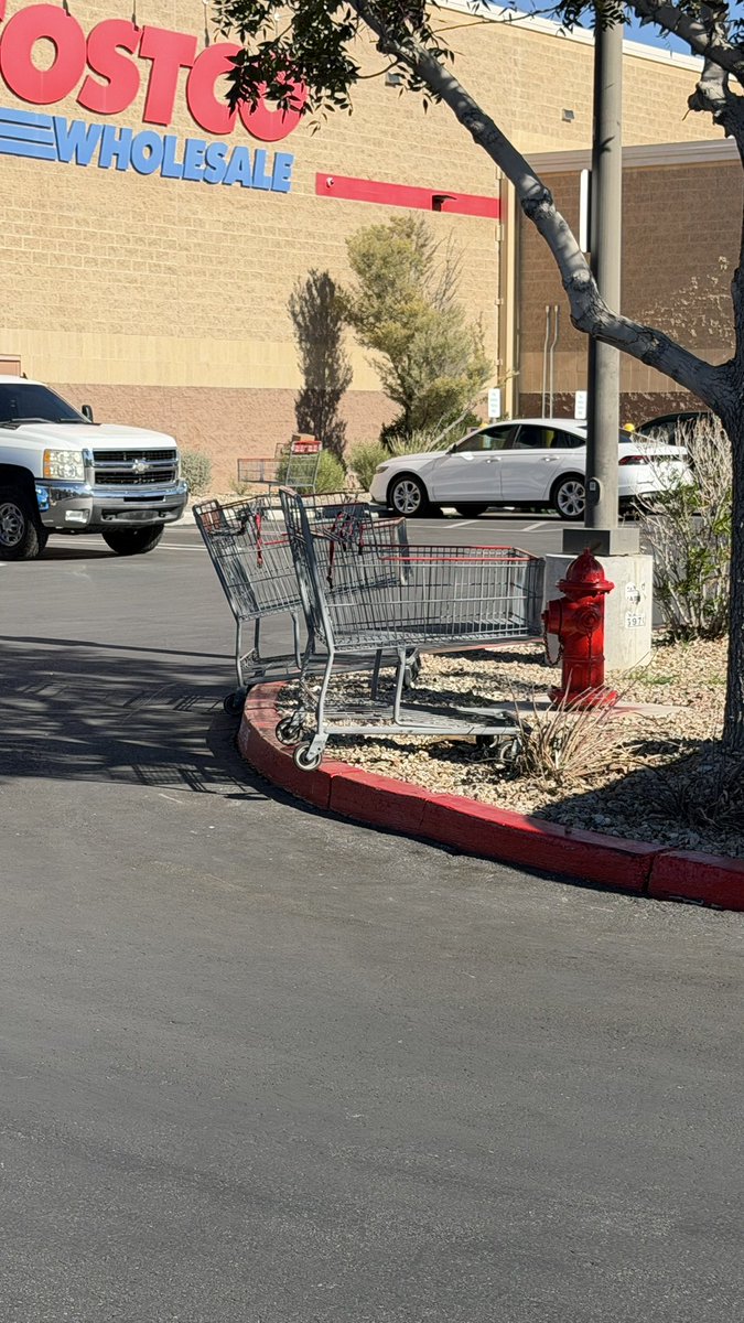 MattWallaceTech's tweet image. Hot take:
If you’re too lazy to put your cart back you shouldn’t go grocery shopping.