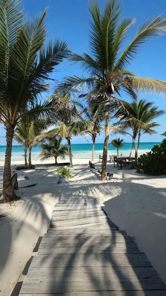 eli_proof's tweet image. gm everyone 

i hope you will have a great day