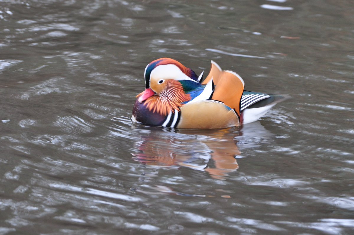 StuartBurt8's tweet image. 