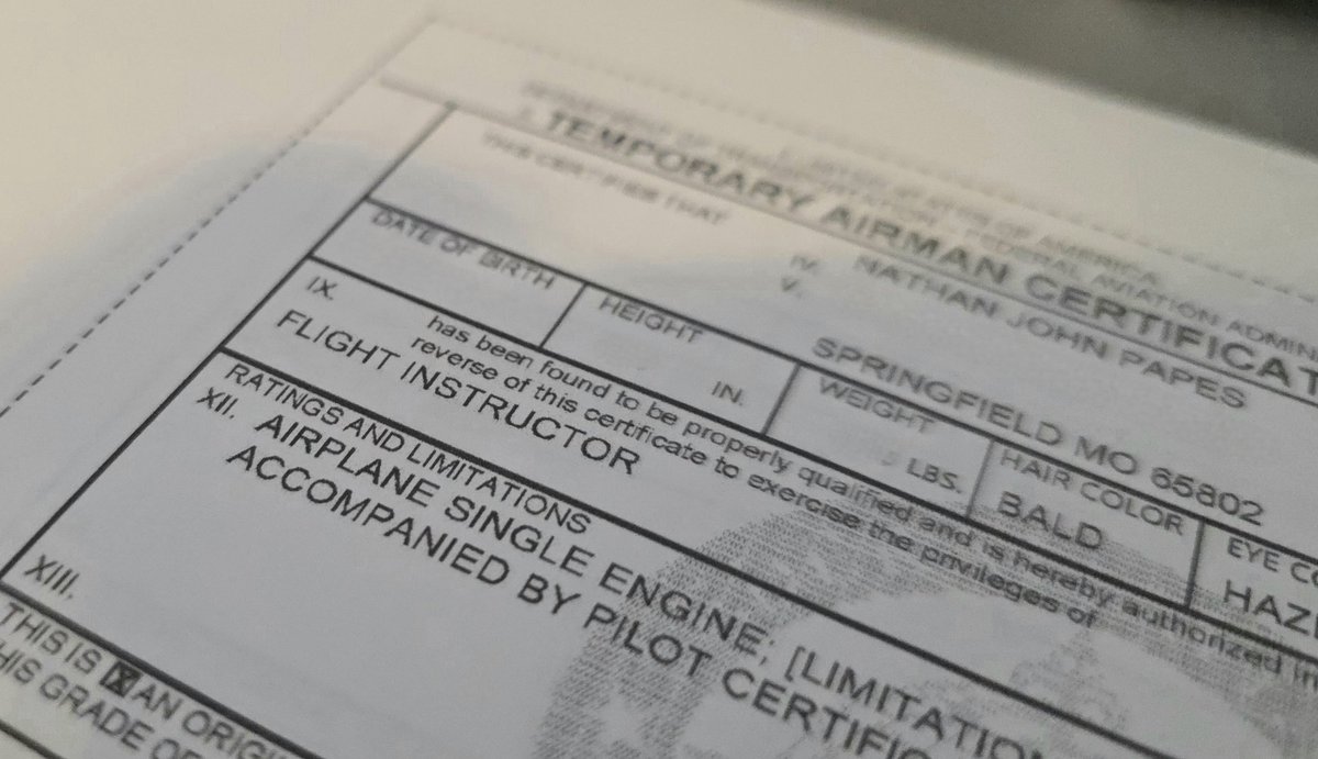 Nathan Papes tweet media