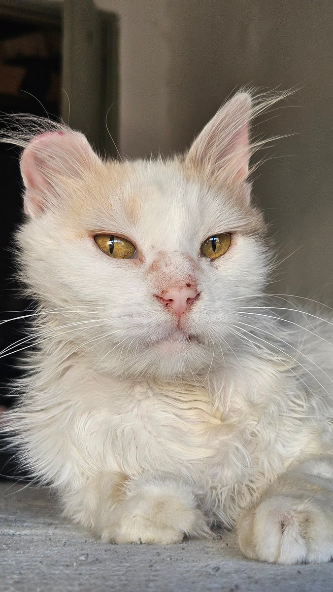 Tamos trabajando no nos molesten uwu