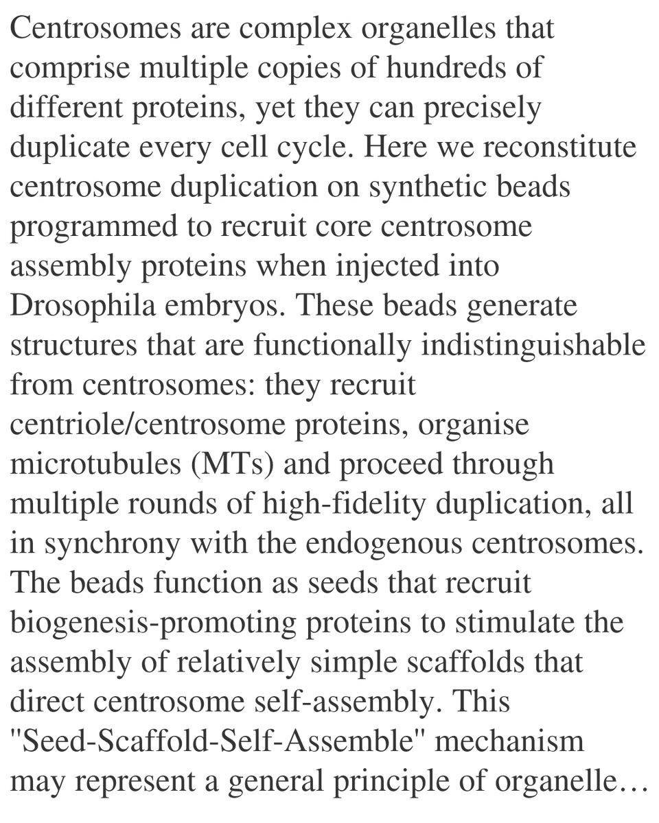 WFC's tweet image. Organelle biogenesis on a synthetic bead

Chang, C.-C., Peng, M., Blaya-Martinez, L., Wong, S.-S., Mohamad, N., Xiao, B., Monteiro, J. M., Harrison, T., Raff, J. W.
biorxiv.org/content/10.648…