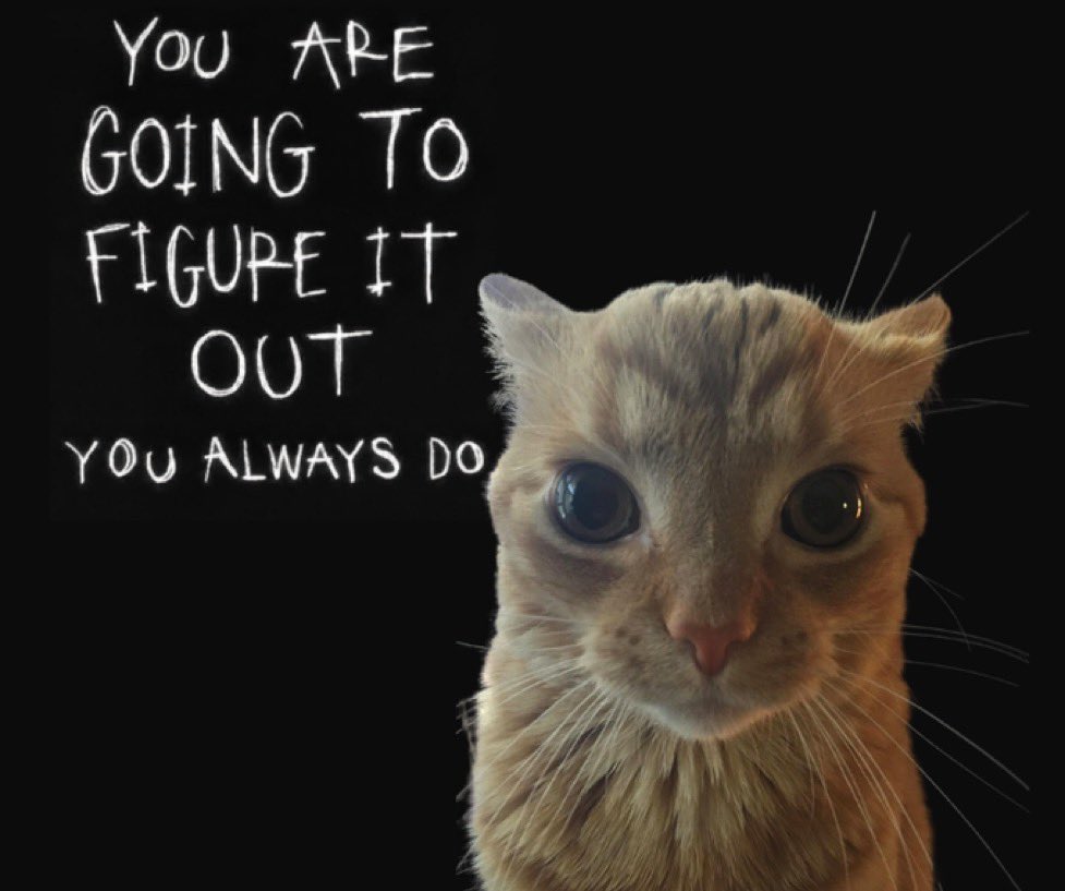 gakstercat's tweet image. 