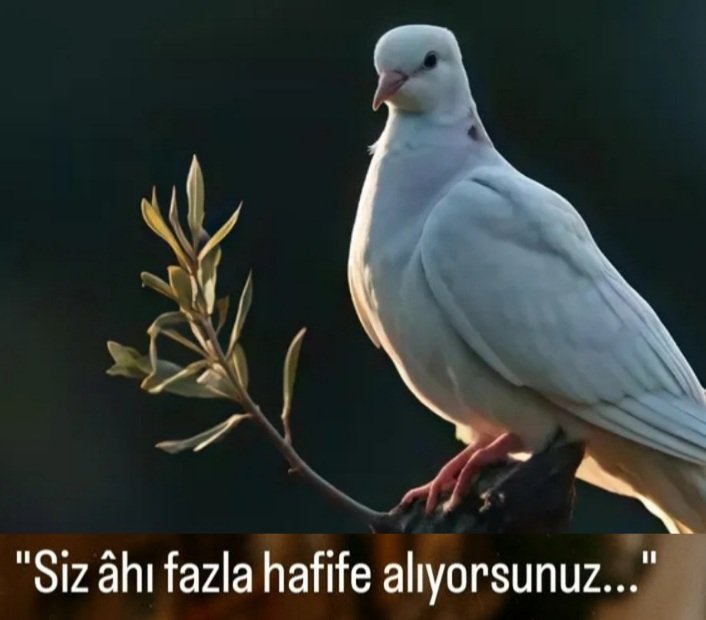 #KHKlılarYalnızBırakıldı