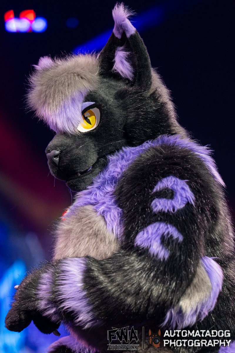 AutomataDog tweet media