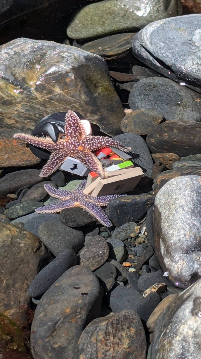 bat_bleed's tweet image. Starro ATTACKS Tim Drake because he's bored