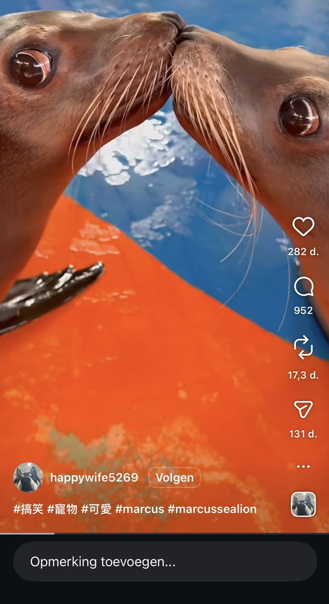 Hey I’m the dev of $marcus we burned over 100M tokens already 🚀🦭