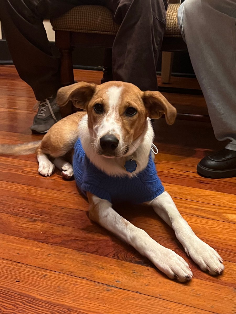 LSU Creative Writing tweet media