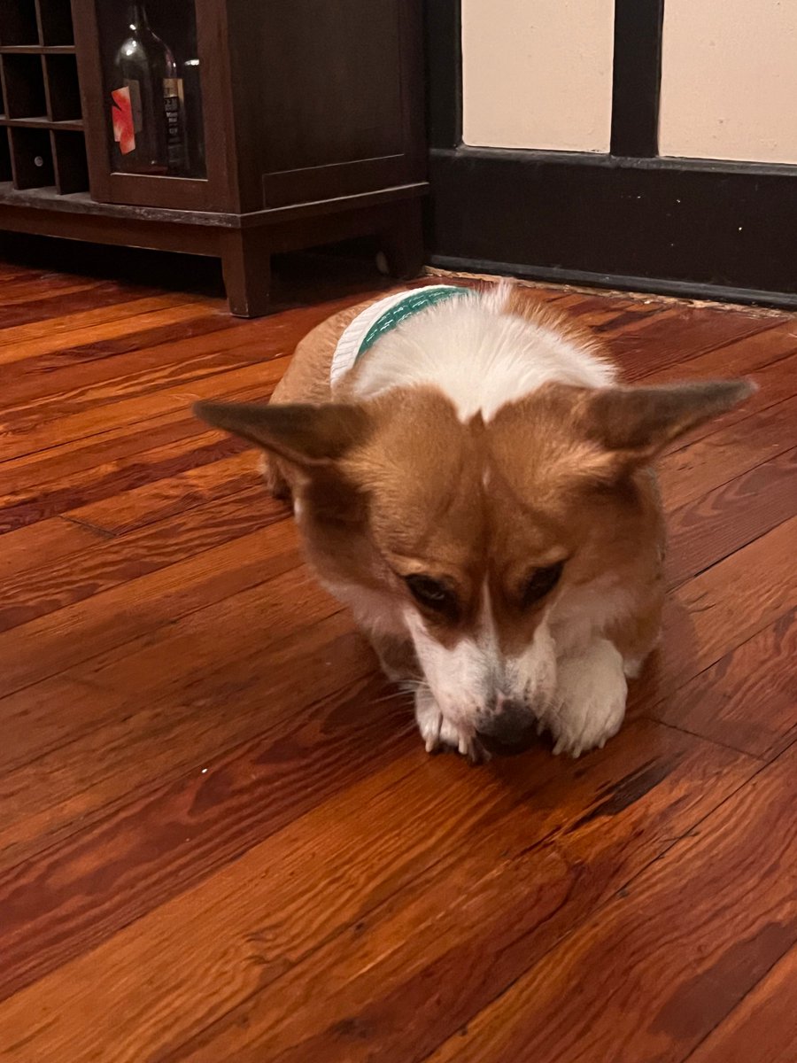 LSU Creative Writing tweet media