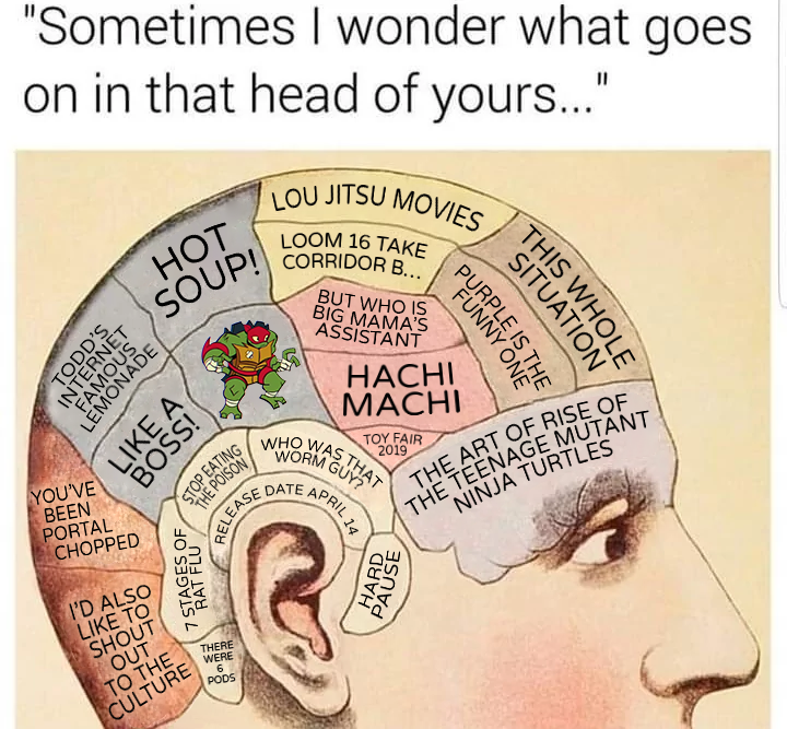 What goes on inside your head? #RiseoftheTMNT #ROTTMNT
