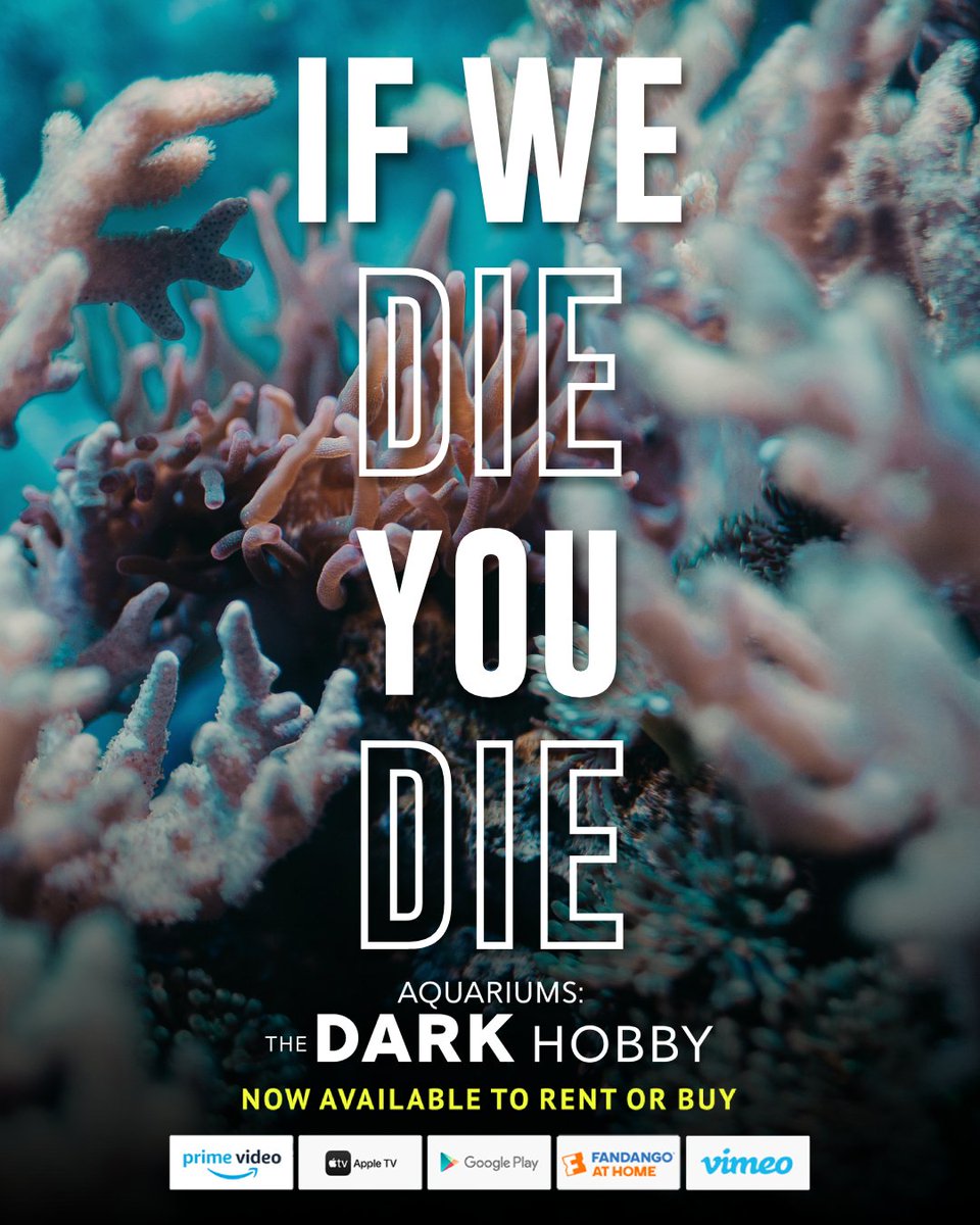 Aquariums: The Dark Hobby tweet media