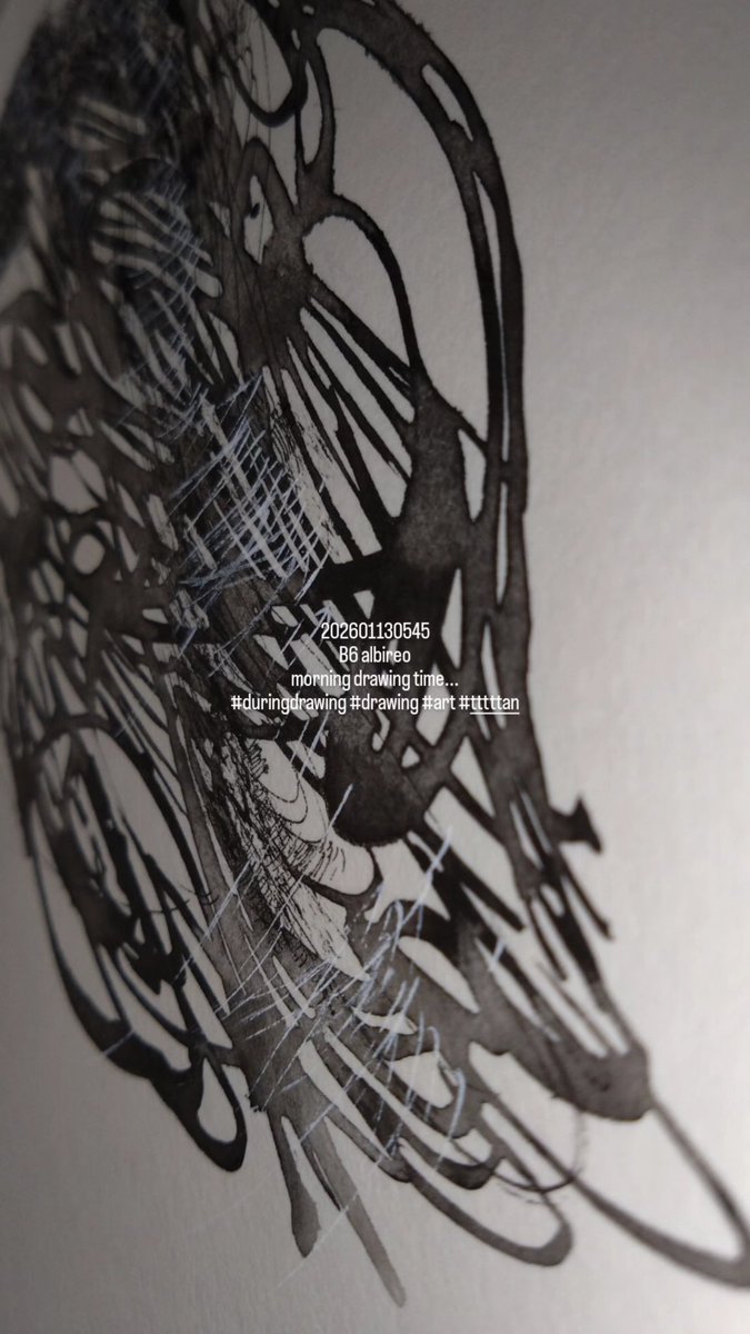 オウム　原画　アート 202601130545 B6 albireo morning drawing time #duringdrawing