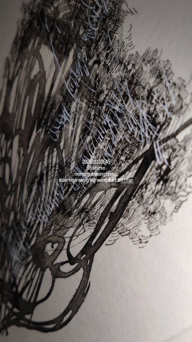 オウム　原画　アート 原画】スケートボードデッキ（Sunset Wave） | TAMO ART GALLERY