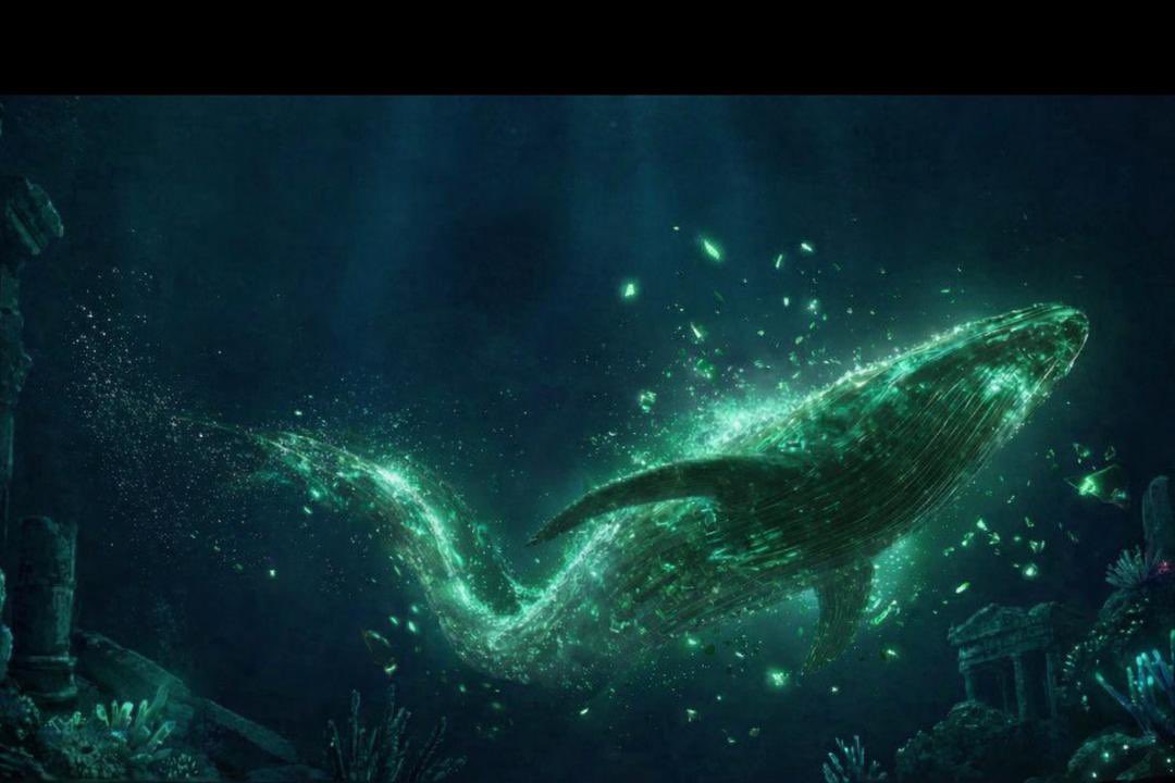 Don’t follow hype. Be part of a community. We are building #Greenwhale #Wearebuilding <a href="/GreenWhaleMeme/">The Green Whale</a>