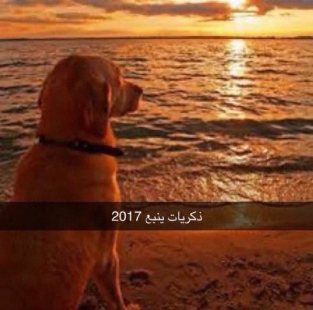 therealragd's tweet image. #matching2026