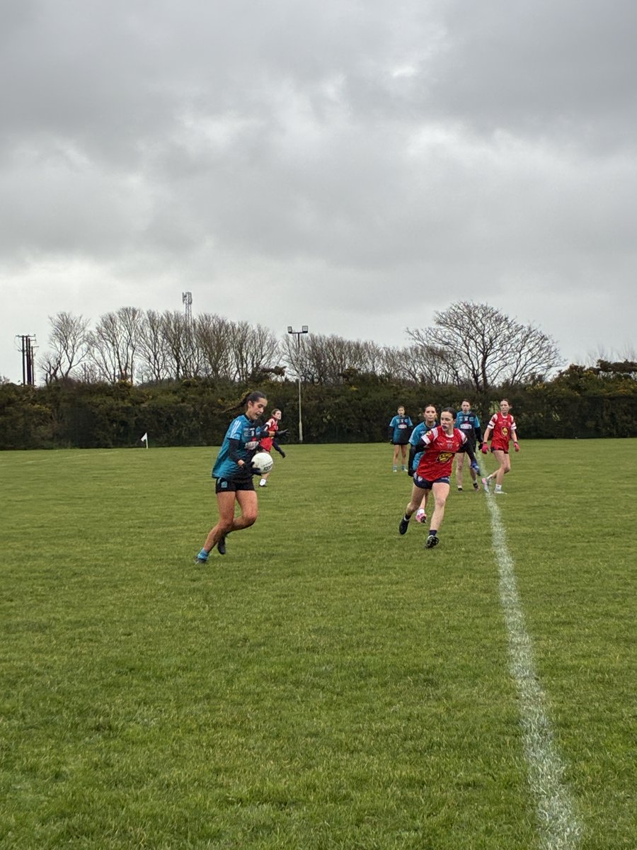 St David's Greystones tweet media