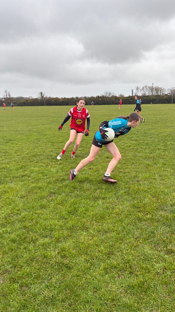 St David's Greystones tweet media