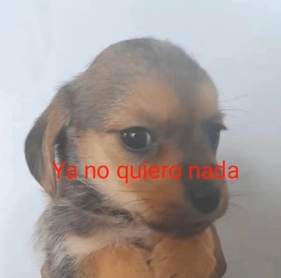 Javisness's tweet photo. yo cuando me enojo https://t.co/e7ISehjXjg