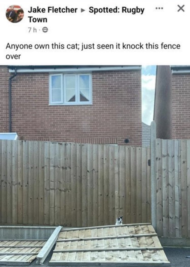 No Context Brits (@nocontextbrits) on Twitter photo 
