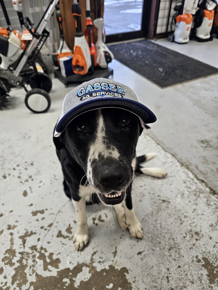 Tim VanGilst 🚛🌾🌽🇨🇦🇳🇱 tweet media