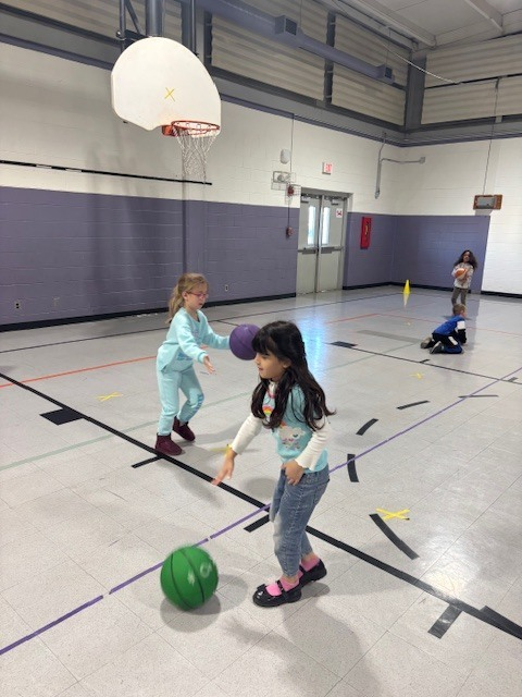Mesnier Primary tweet media