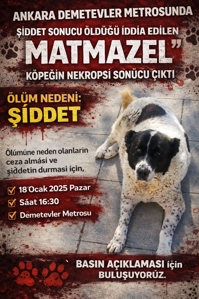 Ankara Demetevler Metrosunda şiddet sonucu öldüğü iddia edilen “MATMAZEL” köpeğin nekropsi sonucu çıktı.

ÖLÜM NEDENİ: ŞİDDET

Ölümüne neden olanların ceza alması ve şiddetin durması için,

📌18 Ocak 2025 Pazar
📌Saat 16:30
📌Demetevler Metrosu

BASIN AÇIKLAMASI için buluşuyoruz.
