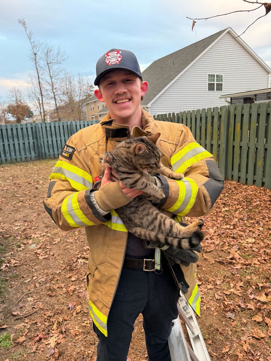 OfRichmond's tweet photo. Cat-astrophic situations averted! 📷

Our firefighters responded to not one, but two separate calls for felines in distress. Thanks to their quick ladder work, these adventurous kitties are back on solid ground.

Talk about a Happy Tails ending! We’re feline pretty good. https://t.co/ZcZnA1Fjev