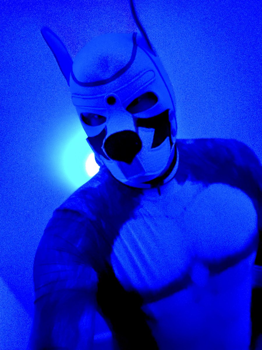 Monochromatic Monday boys! 
Counting down to MAL!!!
#MAL #MCM #GAY #BDSM #PupPlay