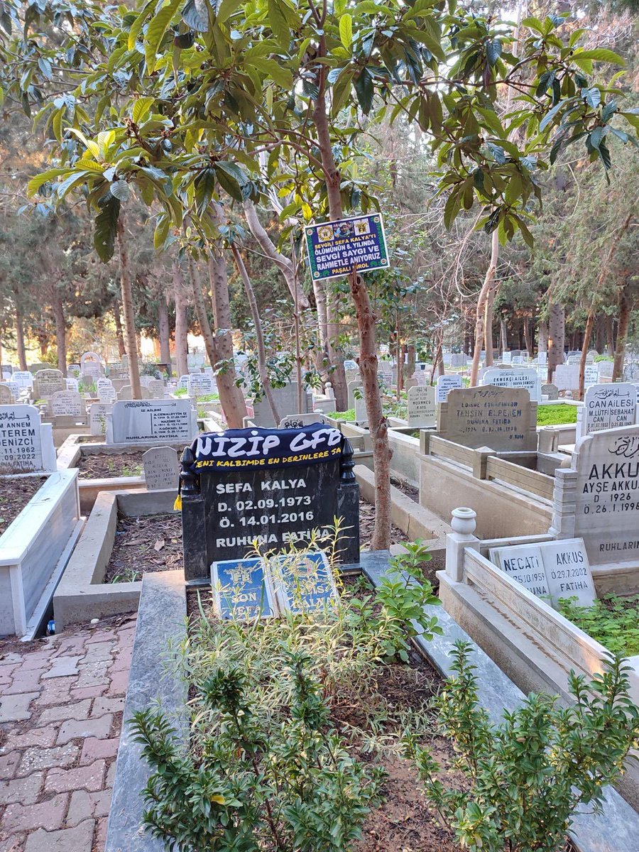 Görmeden sevdik seni,görmeden haykırdık adını;  sokaklarda,stadlarda,tribünlerde yaşattık yaşatmaya devam edeceğiz..

Saygıyla, rahmet ve özlemle anıyoruz. 
Rahmet olsun Sefa Reis, Rahmet olsun ağabey.
 
#SonsuzSadakatSefaReis