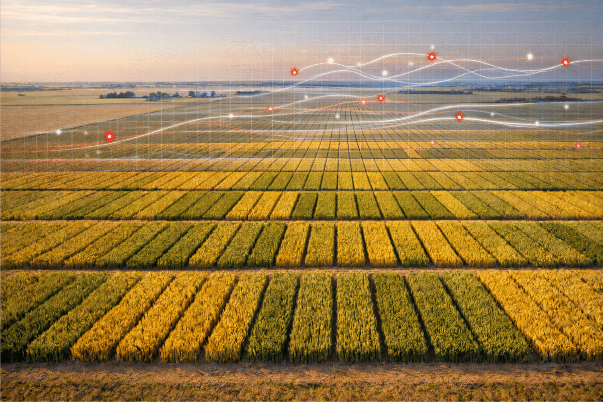 RealAgriculture tweet media