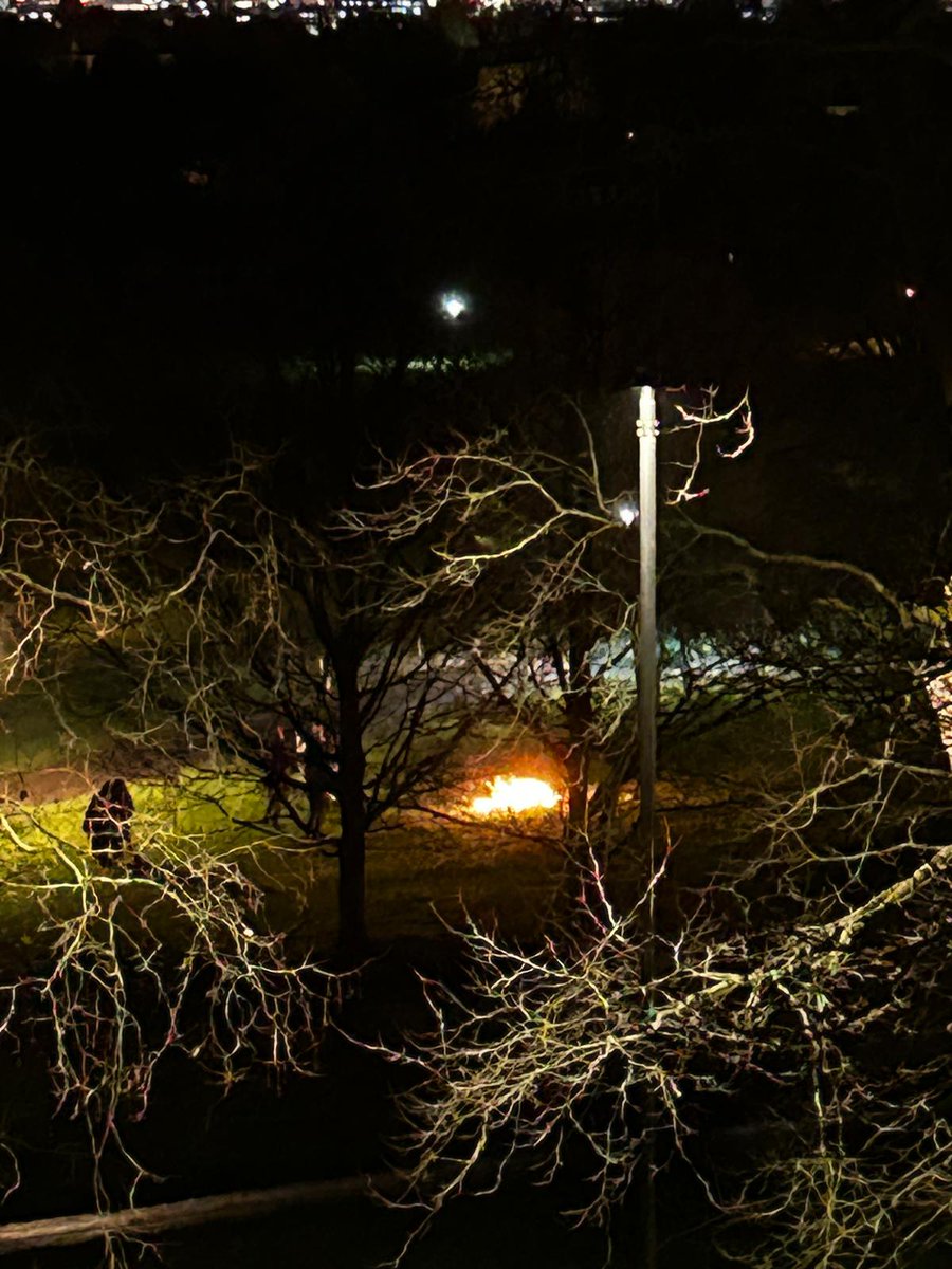 Primrose Hill Watch tweet media