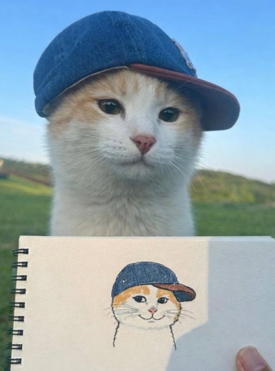 catsdotjpg's tweet image. 