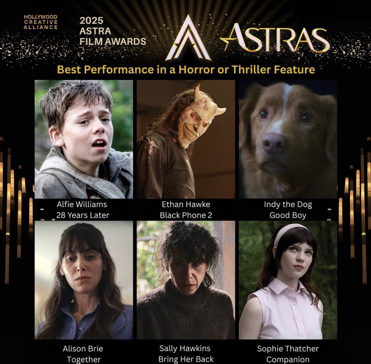PopCrave's tweet image. ‘Good Boy’ star Indy the Dog has won ‘Best Performance in a Horror or Thriller’ at the Astra Film Awards.