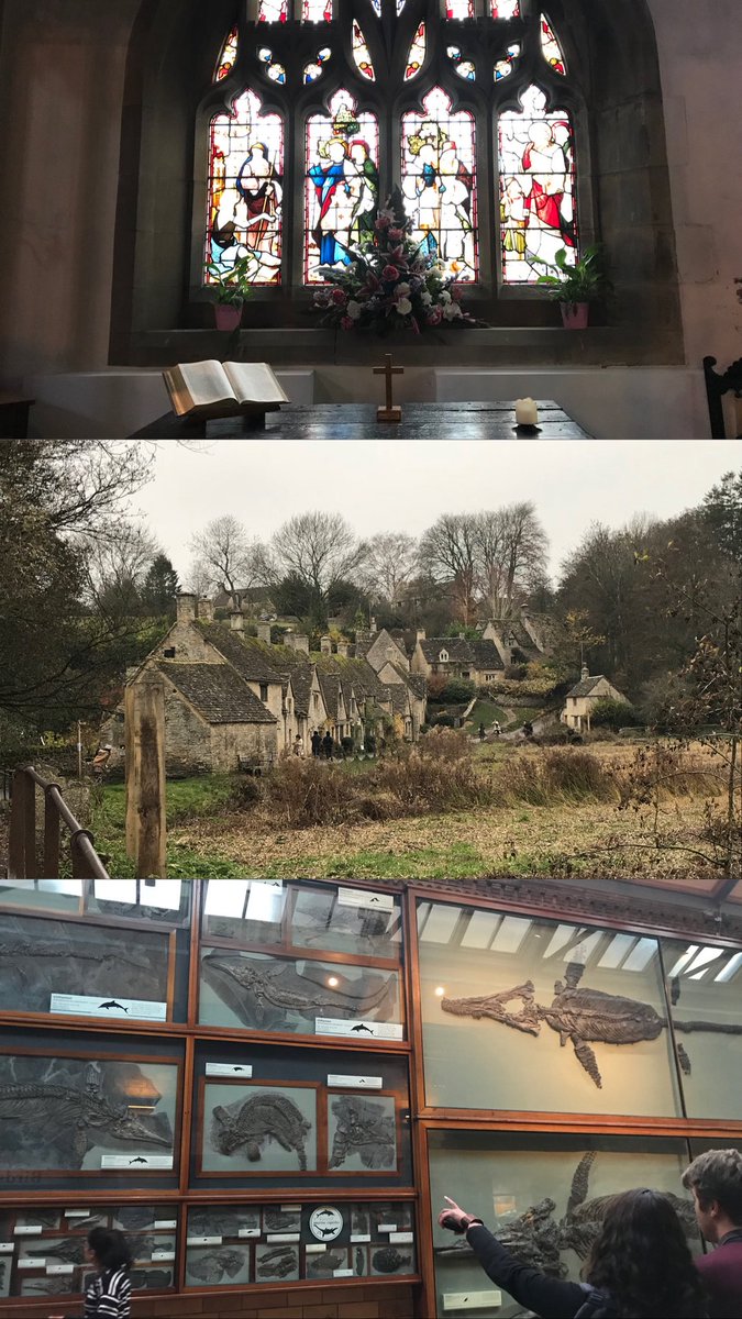 染井青蓮 tweet media