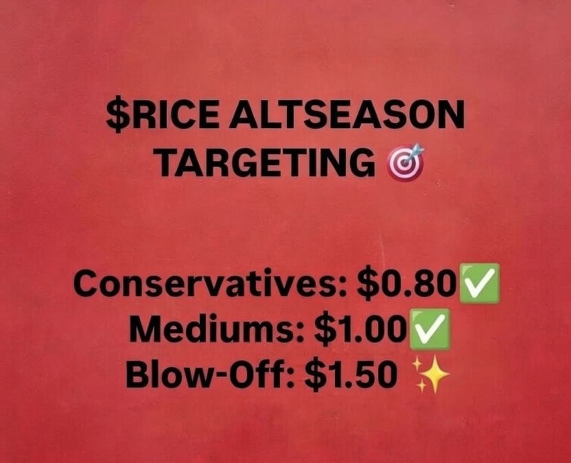 The $FLOKI, #DWFlabs, and #BNB MVB program team are providing strong support for $RICE 🌾🤝
Smart money doesn’t back projects without vision.

At just $RICE ~ $1.9M market cap 💎
This is still early, and the real move usually comes when no one is paying attention 👀

Don’t