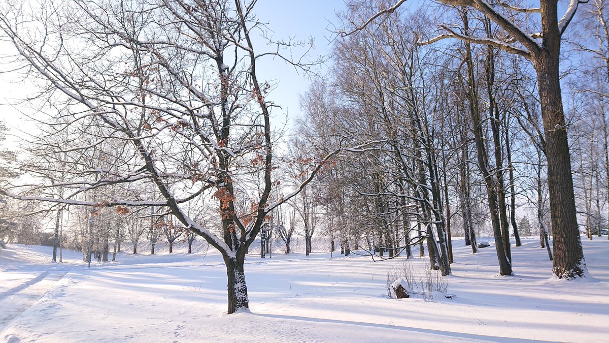 Auksta un skaista šī diena.